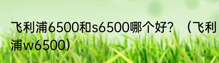 飞利浦6500和s6500哪个好？（飞利浦w6500）