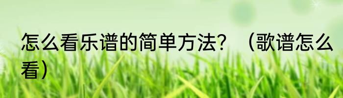 怎么看乐谱的简单方法？（歌谱怎么看）