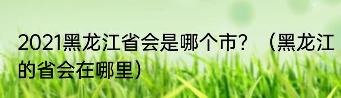 2021黑龙江省会是哪个市？（黑龙江的省会在哪里）