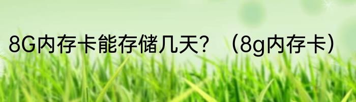 8G内存卡能存储几天？（8g内存卡）