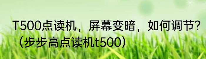 T500点读机，屏幕变暗，如何调节？（步步高点读机t500）