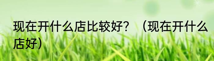 现在开什么店比较好？（现在开什么店好）