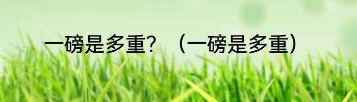 一磅是多重？（一磅是多重）