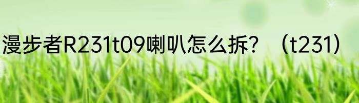 漫步者R231t09喇叭怎么拆？（t231）