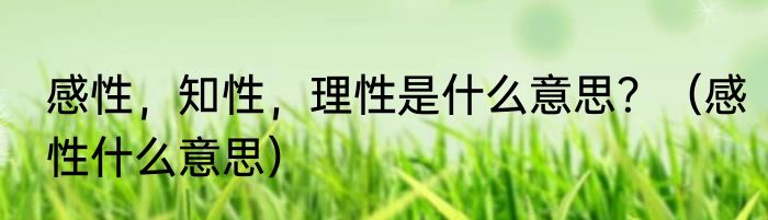 感性，知性，理性是什么意思？（感性什么意思）