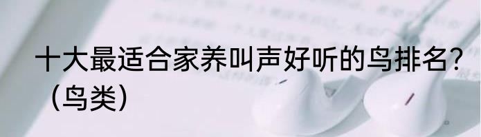 十大最适合家养叫声好听的鸟排名？（鸟类）
