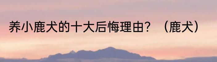 养小鹿犬的十大后悔理由？（鹿犬）