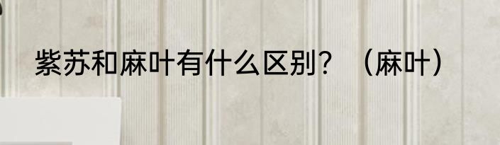 紫苏和麻叶有什么区别？（麻叶）
