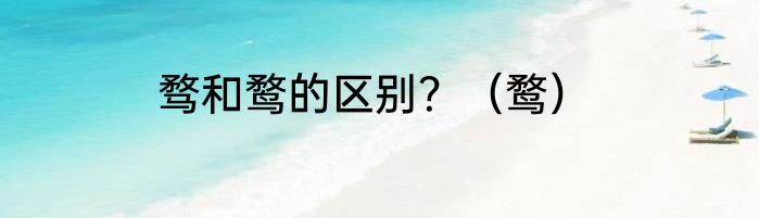 骛和鹜的区别？（鹜）