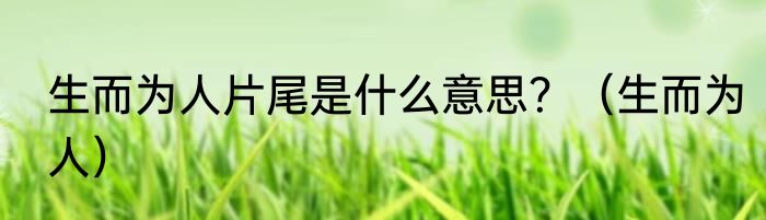 生而为人片尾是什么意思？（生而为人）