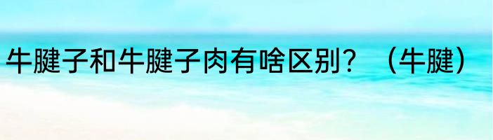 牛腱子和牛腱子肉有啥区别？（牛腱）