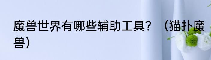 魔兽世界有哪些辅助工具？（猫扑魔兽）