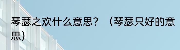 琴瑟之欢什么意思？（琴瑟只好的意思）