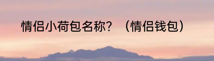 情侣小荷包名称？（情侣钱包）