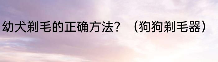 幼犬剃毛的正确方法？（狗狗剃毛器）