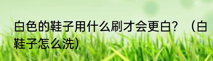 白色的鞋子用什么刷才会更白？（白鞋子怎么洗）