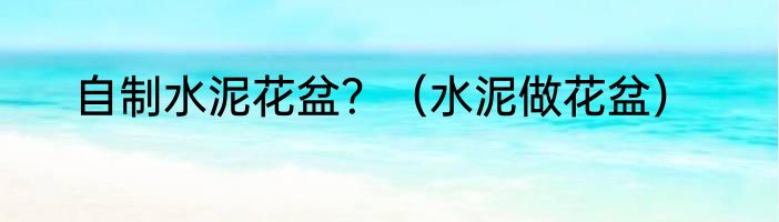 自制水泥花盆？（水泥做花盆）