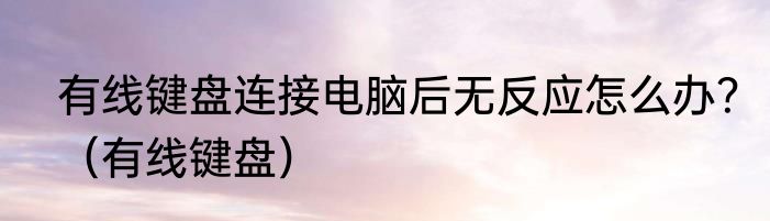 有线键盘连接电脑后无反应怎么办？（有线键盘）