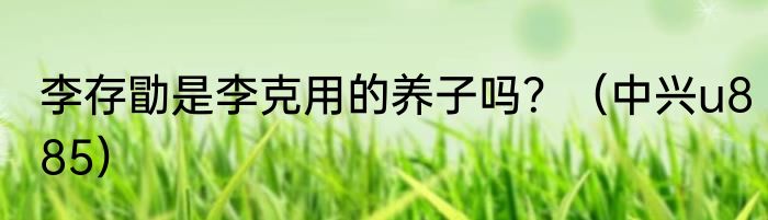 李存勖是李克用的养子吗？（中兴u885）