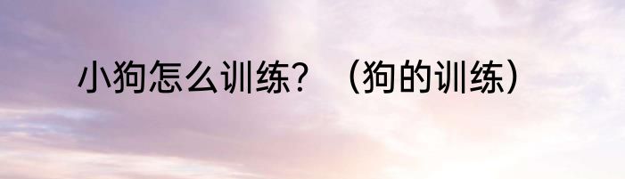小狗怎么训练？（狗的训练）