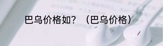 巴乌价格如？（巴乌价格）