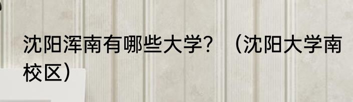 沈阳浑南有哪些大学？（沈阳大学南校区）