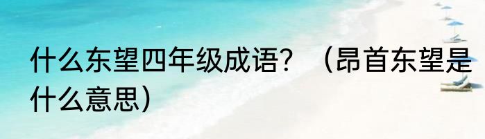 什么东望四年级成语？（昂首东望是什么意思）
