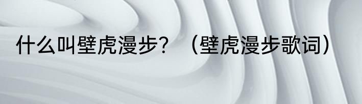 什么叫壁虎漫步？（壁虎漫步歌词）