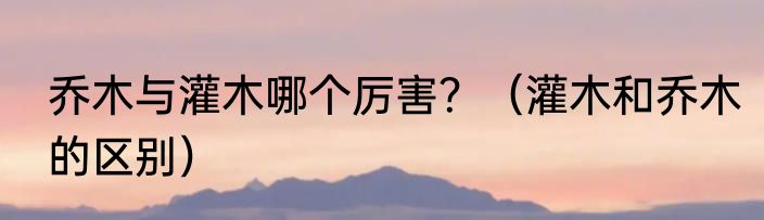 乔木与灌木哪个厉害？（灌木和乔木的区别）
