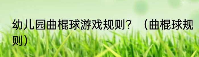 幼儿园曲棍球游戏规则？（曲棍球规则）