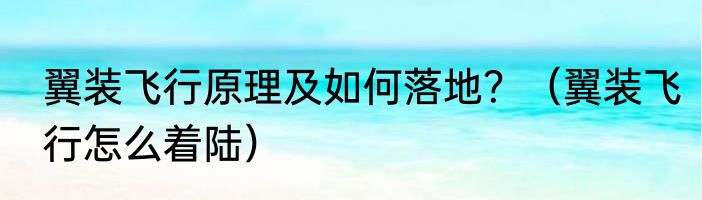 翼装飞行原理及如何落地？（翼装飞行怎么着陆）