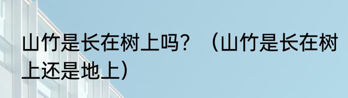 山竹是长在树上吗？（山竹是长在树上还是地上）