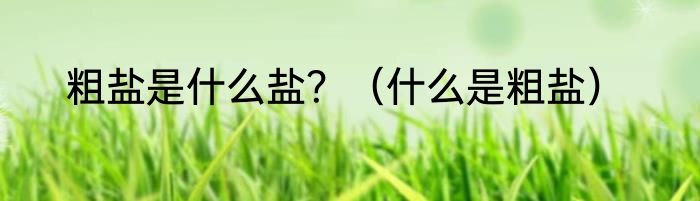 粗盐是什么盐？（什么是粗盐）