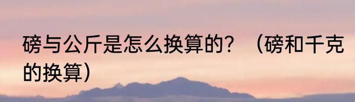 磅与公斤是怎么换算的？（磅和千克的换算）