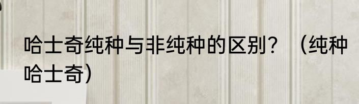 哈士奇纯种与非纯种的区别？（纯种哈士奇）