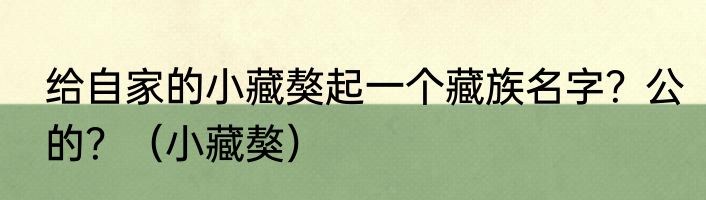 给自家的小藏獒起一个藏族名字？公的？（小藏獒）