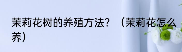 茉莉花树的养殖方法？（茉莉花怎么养）
