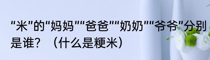 “米”的“妈妈”“爸爸”“奶奶”“爷爷”分别是谁？（什么是粳米）