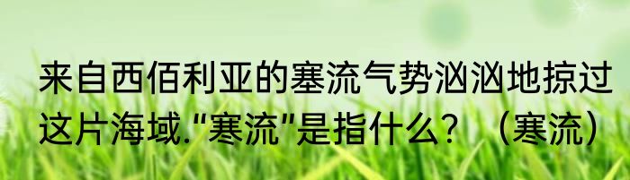 来自西佰利亚的塞流气势汹汹地掠过这片海域.“寒流”是指什么？（寒流）