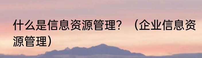 什么是信息资源管理？（企业信息资源管理）
