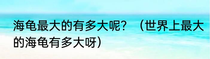 海龟最大的有多大呢？（世界上最大的海龟有多大呀）