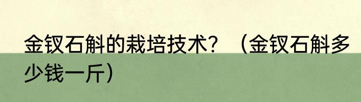 金钗石斛的栽培技术？（金钗石斛多少钱一斤）
