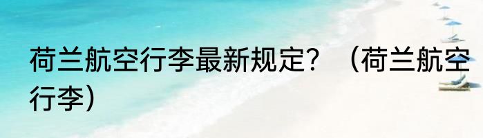 荷兰航空行李最新规定？（荷兰航空行李）