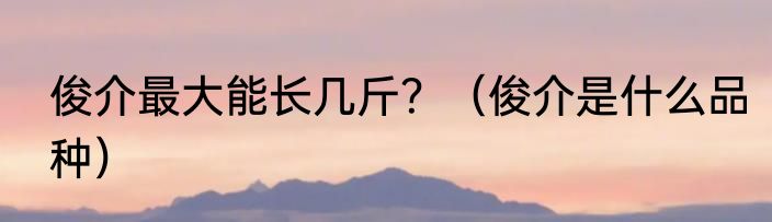 俊介最大能长几斤？（俊介是什么品种）