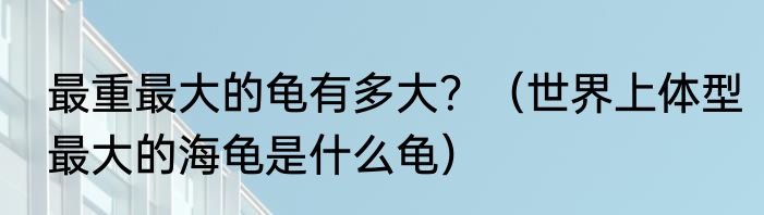 最重最大的龟有多大？（世界上体型最大的海龟是什么龟）