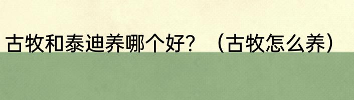 古牧和泰迪养哪个好？（古牧怎么养）