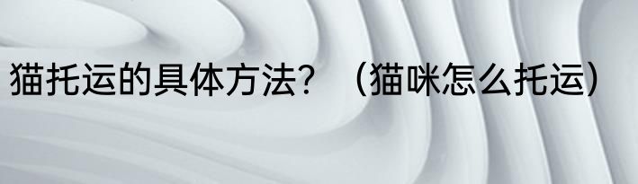 猫托运的具体方法？（猫咪怎么托运）