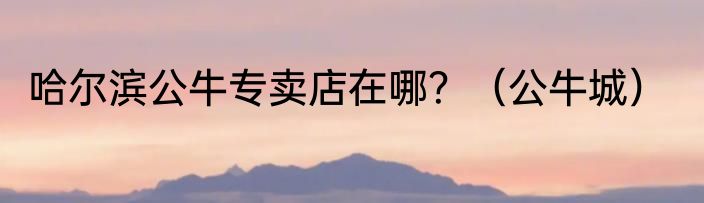 哈尔滨公牛专卖店在哪？（公牛城）