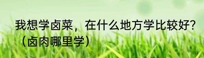 我想学卤菜，在什么地方学比较好？（卤肉哪里学）