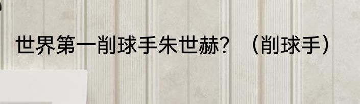 世界第一削球手朱世赫？（削球手）